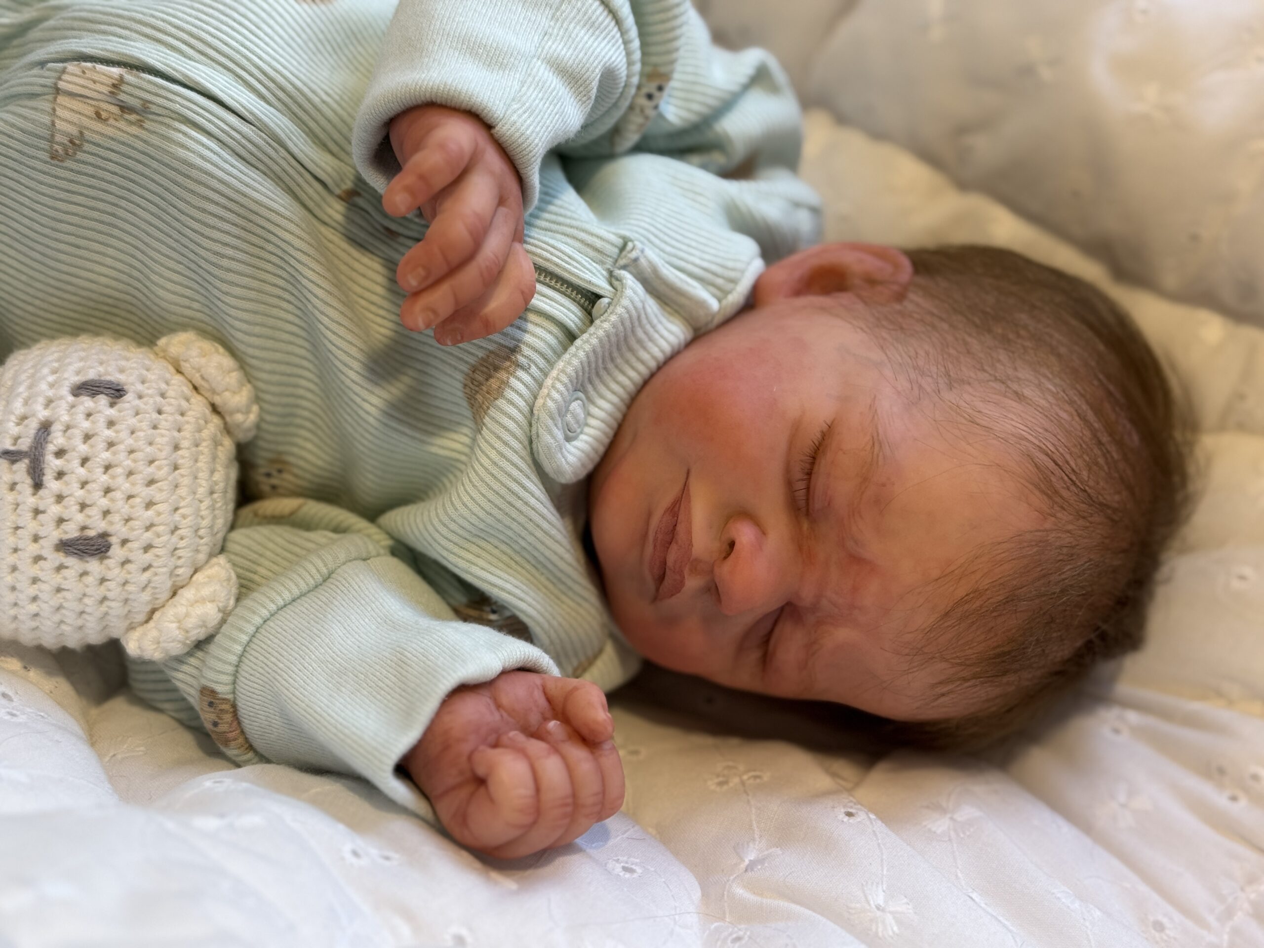 Reborn "Zahli" by Laura Tuzio-Ross - Image 8