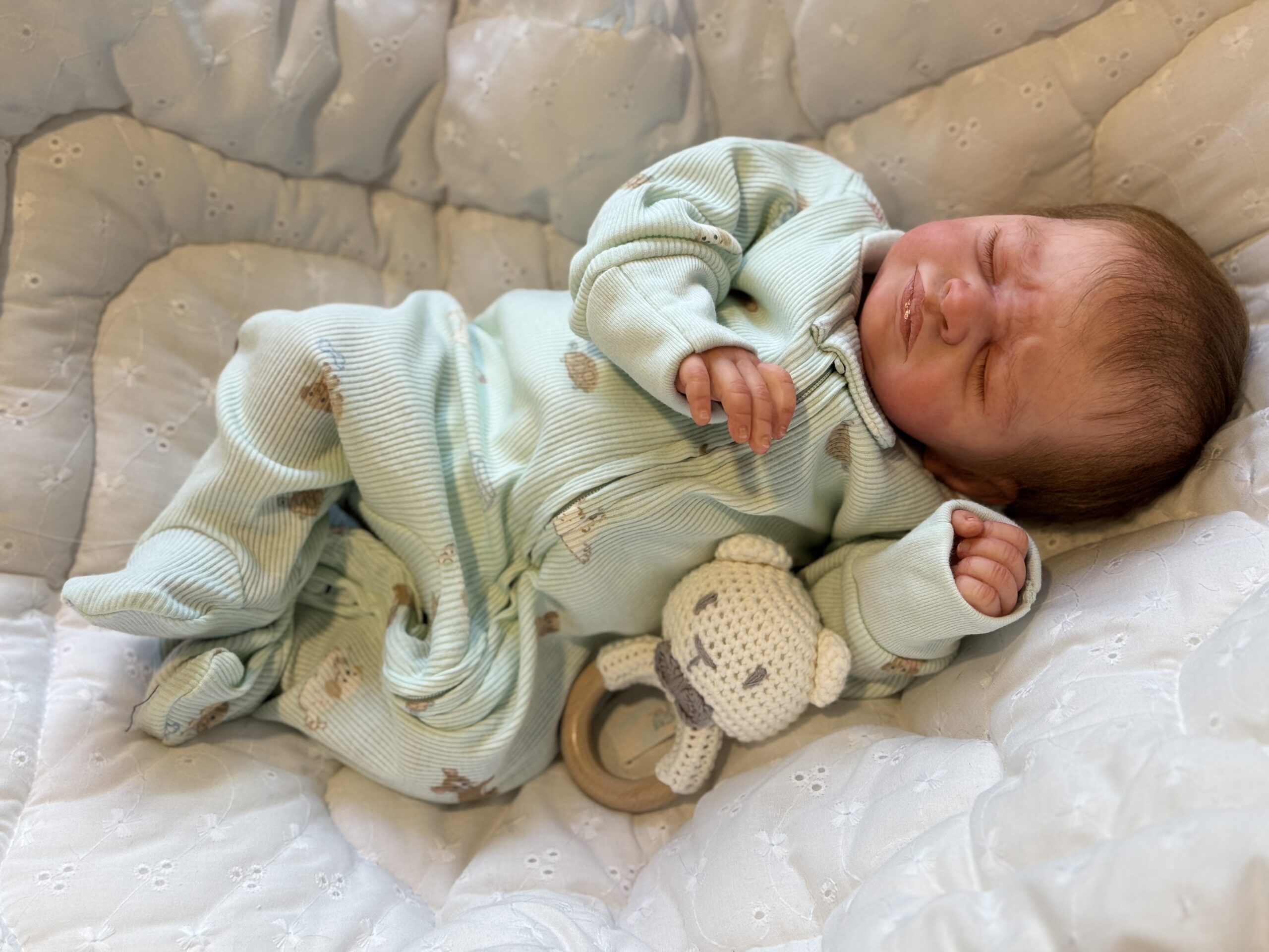 Reborn "Zahli" by Laura Tuzio-Ross - Image 14
