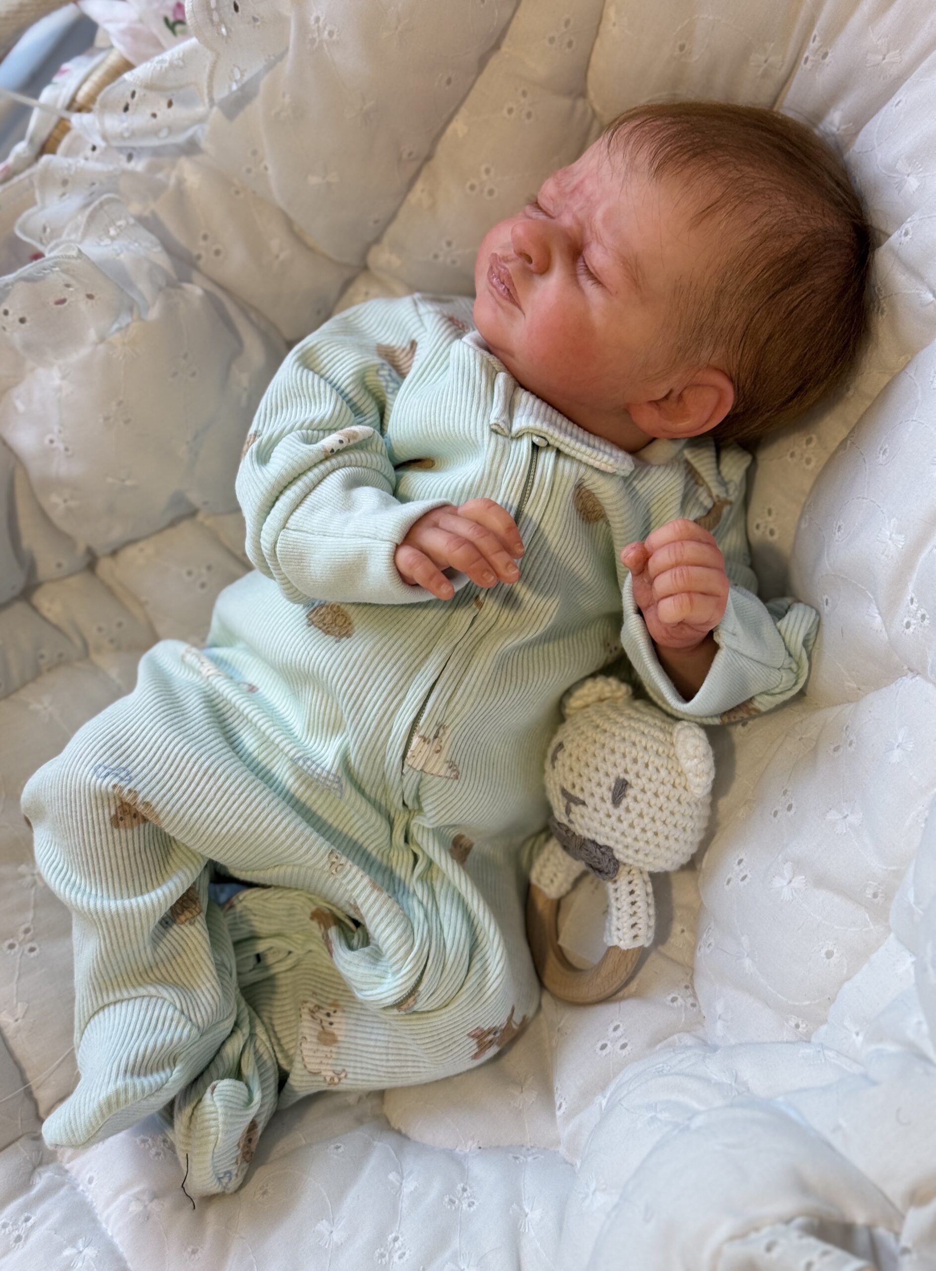 Reborn "Zahli" by Laura Tuzio-Ross - Image 17