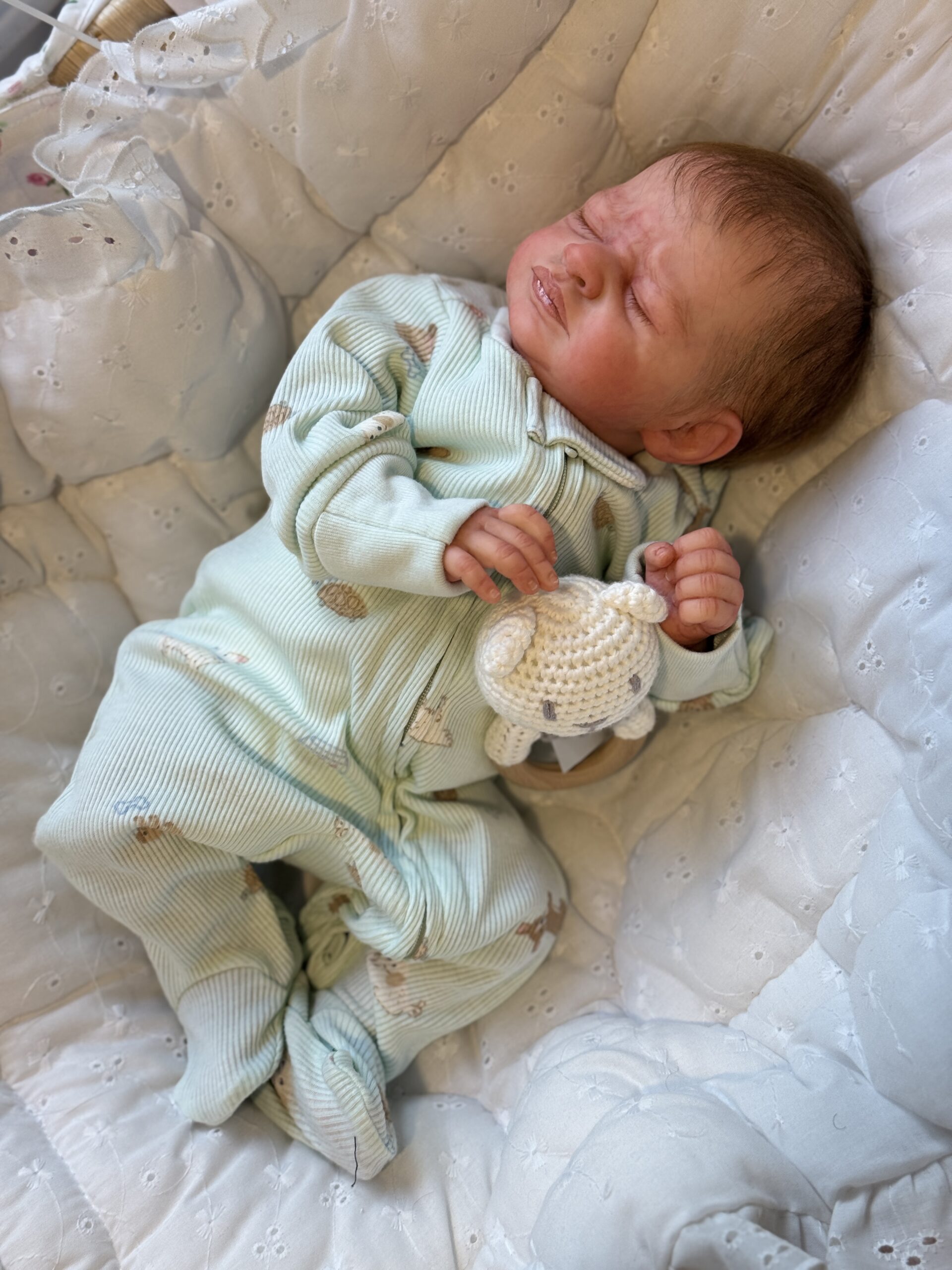 Reborn "Zahli" by Laura Tuzio-Ross - Image 18