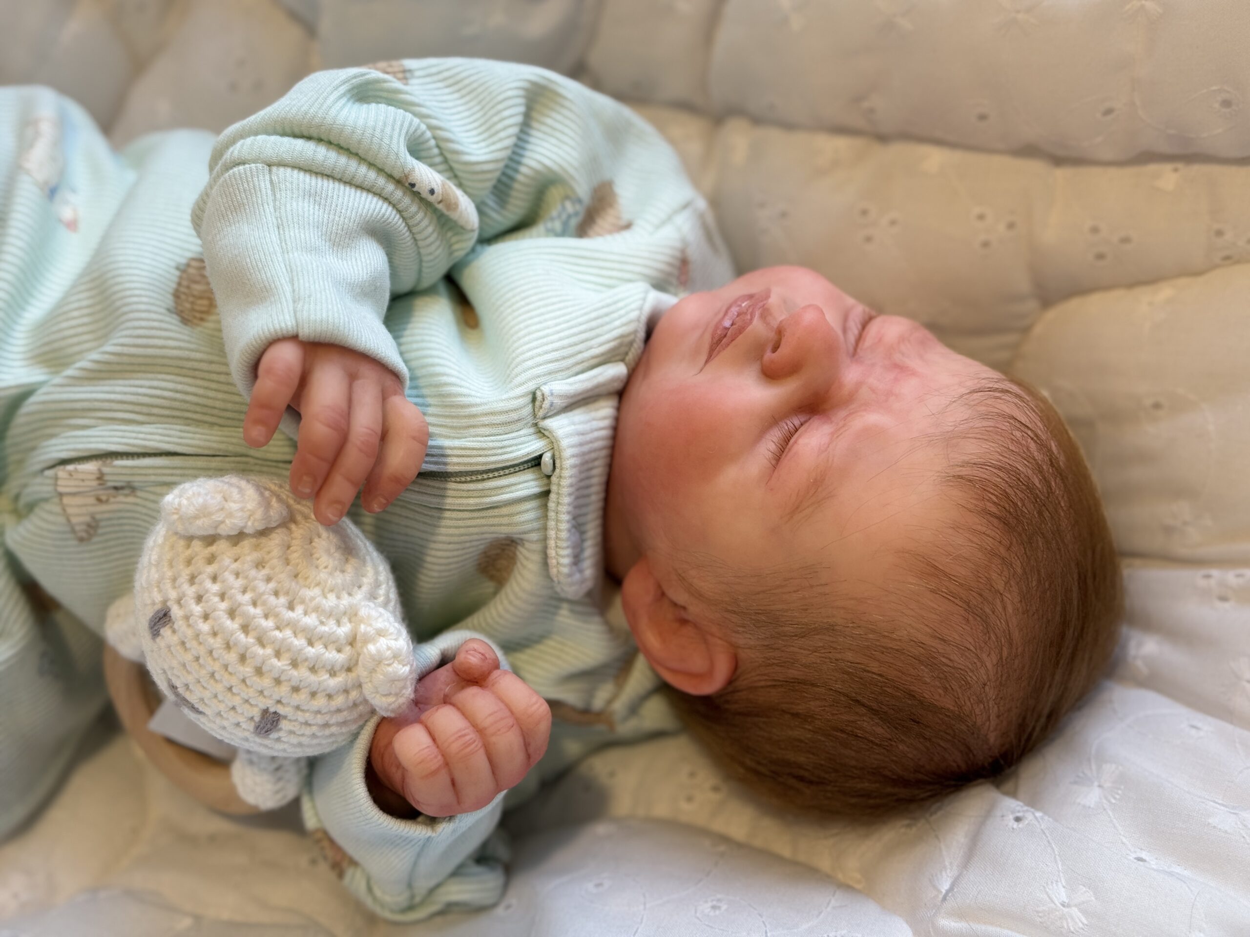 Reborn "Zahli" by Laura Tuzio-Ross - Image 19
